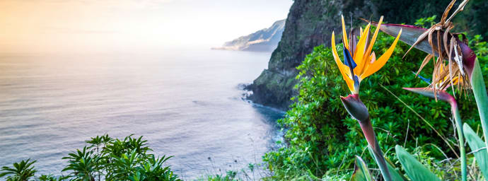 natursköna ön Madeira